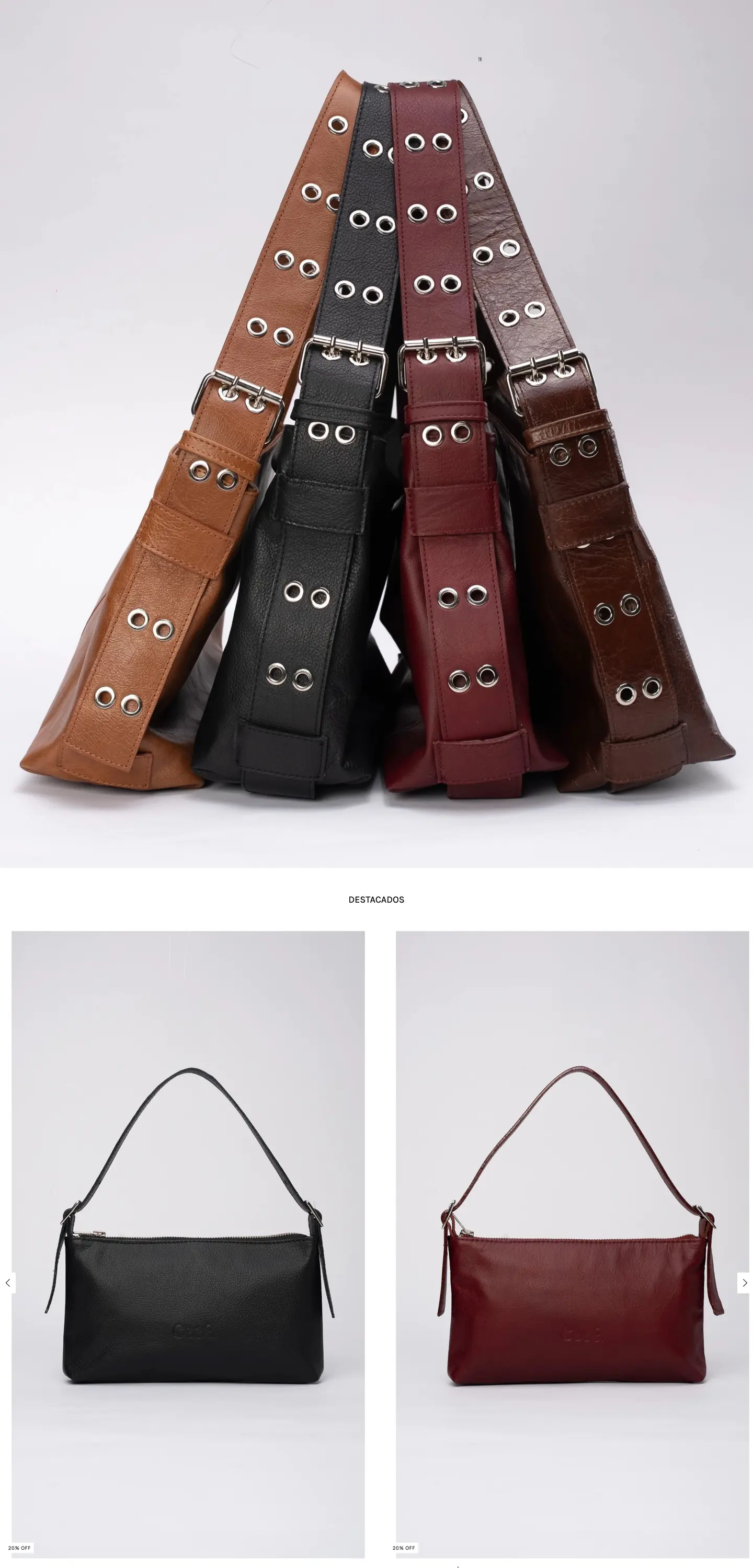 Portada de cecebags.com.ar en un portátil